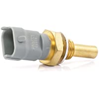 Delphi TS10253 Sensor temp. refrigerante